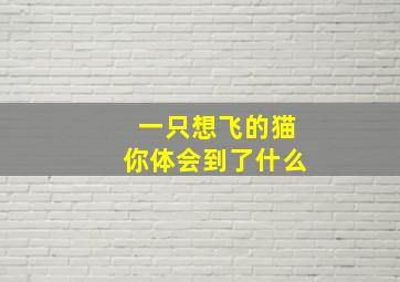 一只想飞的猫你体会到了什么