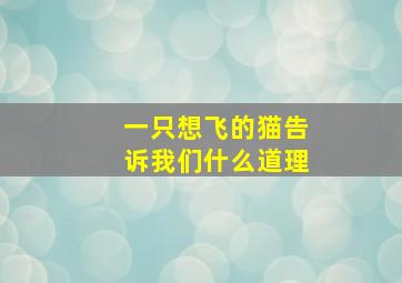 一只想飞的猫告诉我们什么道理