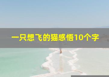 一只想飞的猫感悟10个字