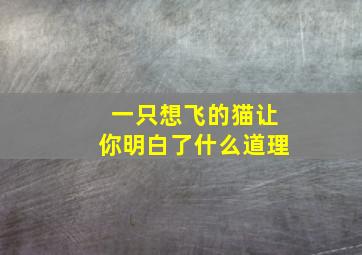 一只想飞的猫让你明白了什么道理