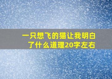 一只想飞的猫让我明白了什么道理20字左右