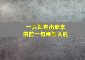 一只红杏出墙来的前一句诗怎么说