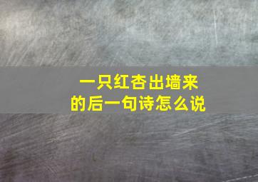 一只红杏出墙来的后一句诗怎么说