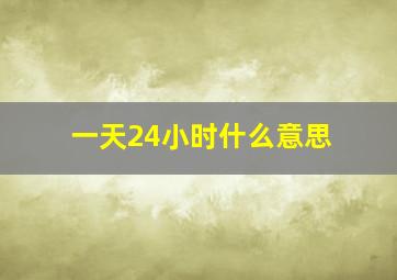 一天24小时什么意思