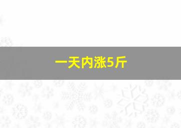 一天内涨5斤