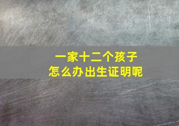 一家十二个孩子怎么办出生证明呢