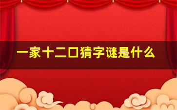 一家十二口猜字谜是什么