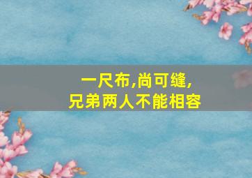 一尺布,尚可缝,兄弟两人不能相容