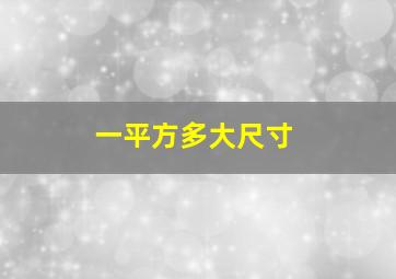 一平方多大尺寸