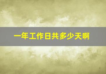 一年工作日共多少天啊