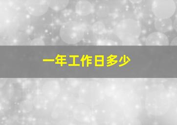 一年工作日多少