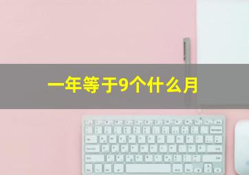 一年等于9个什么月