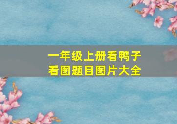 一年级上册看鸭子看图题目图片大全