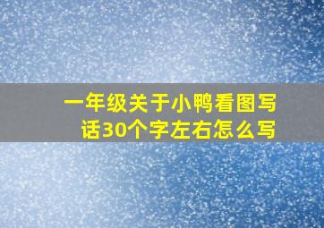 一年级关于小鸭看图写话30个字左右怎么写