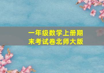 一年级数学上册期末考试卷北师大版