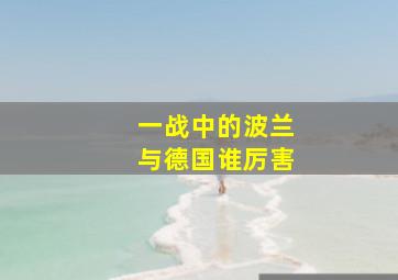 一战中的波兰与德国谁厉害