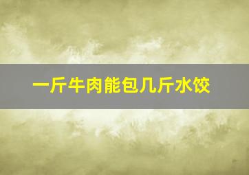 一斤牛肉能包几斤水饺