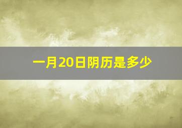 一月20日阴历是多少