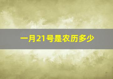 一月21号是农历多少