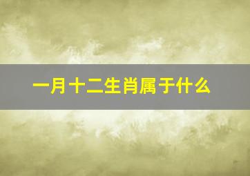 一月十二生肖属于什么