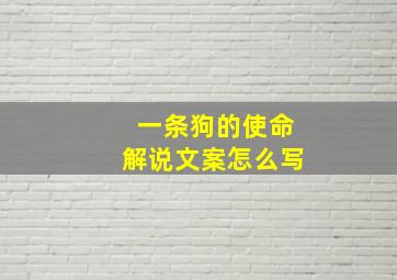 一条狗的使命解说文案怎么写