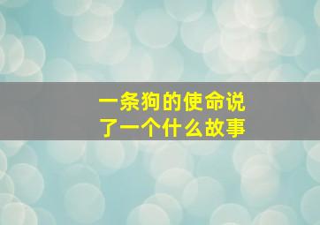 一条狗的使命说了一个什么故事