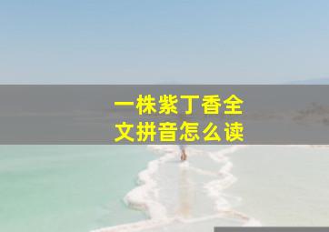 一株紫丁香全文拼音怎么读