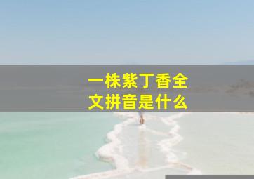 一株紫丁香全文拼音是什么