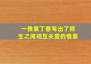 一株紫丁香写出了师生之间相互关爱的情意