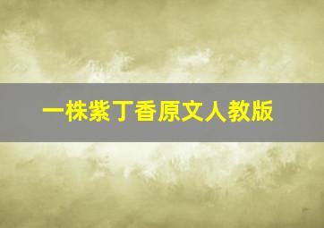 一株紫丁香原文人教版