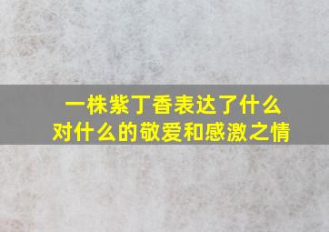 一株紫丁香表达了什么对什么的敬爱和感激之情