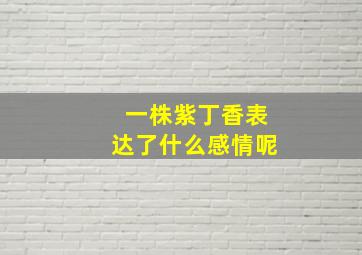 一株紫丁香表达了什么感情呢