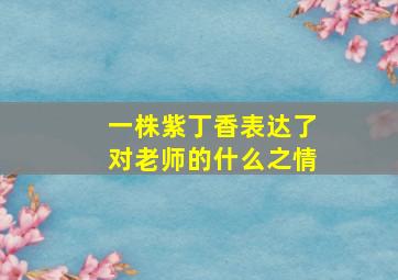 一株紫丁香表达了对老师的什么之情