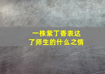 一株紫丁香表达了师生的什么之情