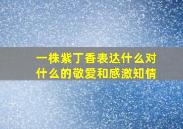 一株紫丁香表达什么对什么的敬爱和感激知情