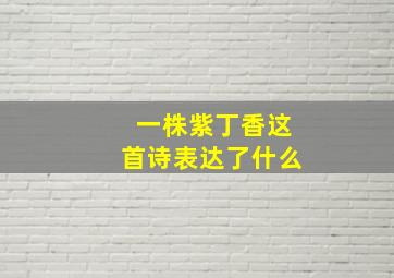 一株紫丁香这首诗表达了什么