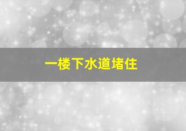 一楼下水道堵住