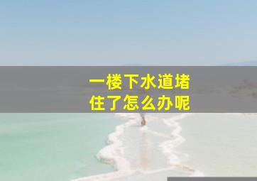 一楼下水道堵住了怎么办呢