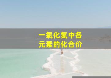 一氧化氮中各元素的化合价