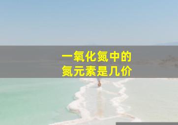 一氧化氮中的氮元素是几价