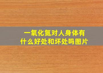 一氧化氮对人身体有什么好处和坏处吗图片