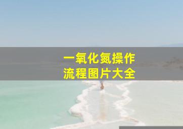 一氧化氮操作流程图片大全