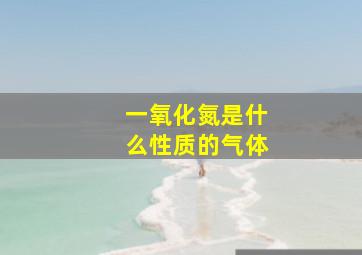 一氧化氮是什么性质的气体