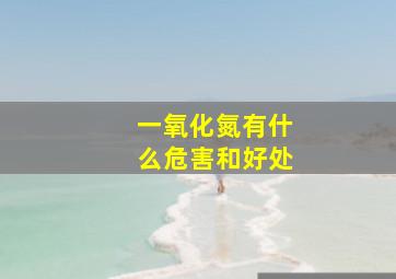 一氧化氮有什么危害和好处