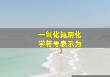 一氧化氮用化学符号表示为