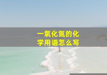 一氧化氮的化学用语怎么写