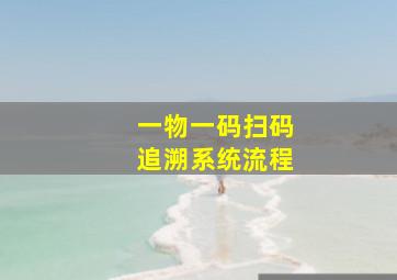 一物一码扫码追溯系统流程