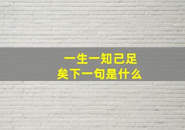 一生一知己足矣下一句是什么