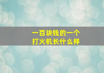 一百块钱的一个打火机长什么样