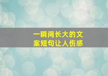 一瞬间长大的文案短句让人伤感